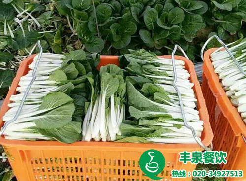 蔬菜配送解决食堂难题 企业学校食堂承包管理的好方法